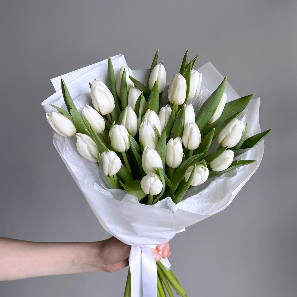 Белые тюльпаны — вид 2