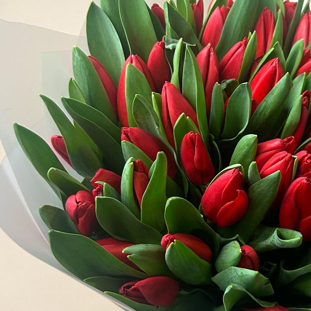 Розовые тюльпаны — вид 3