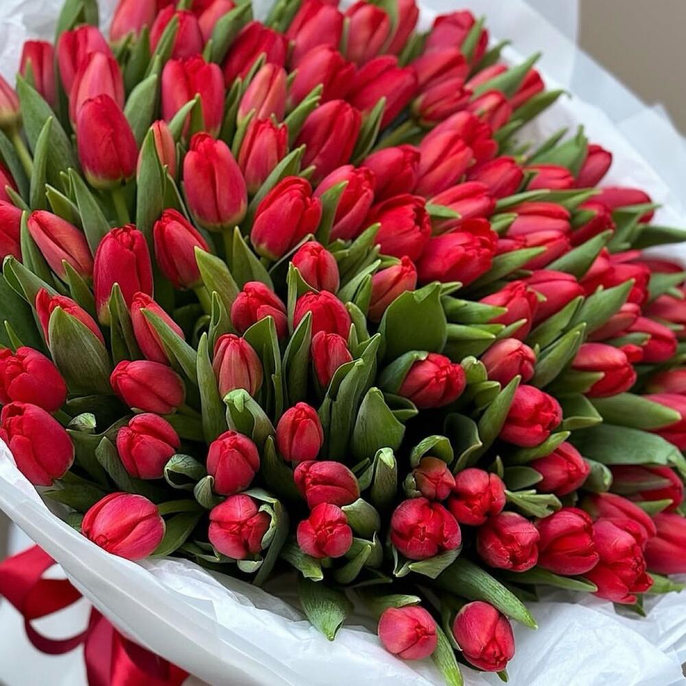 Розовые тюльпаны — вид 4