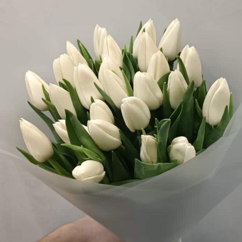 Белые тюльпаны — вид 4