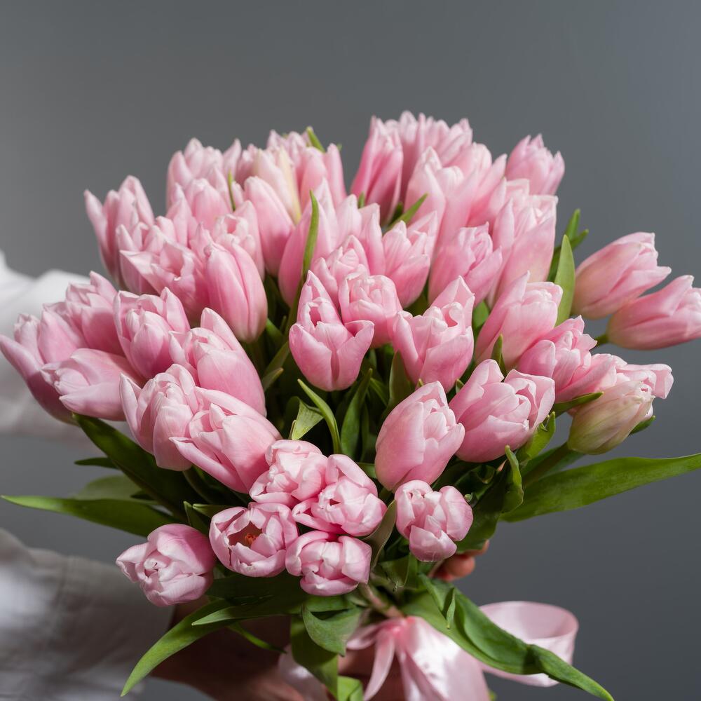 Розовые тюльпаны — вид 3