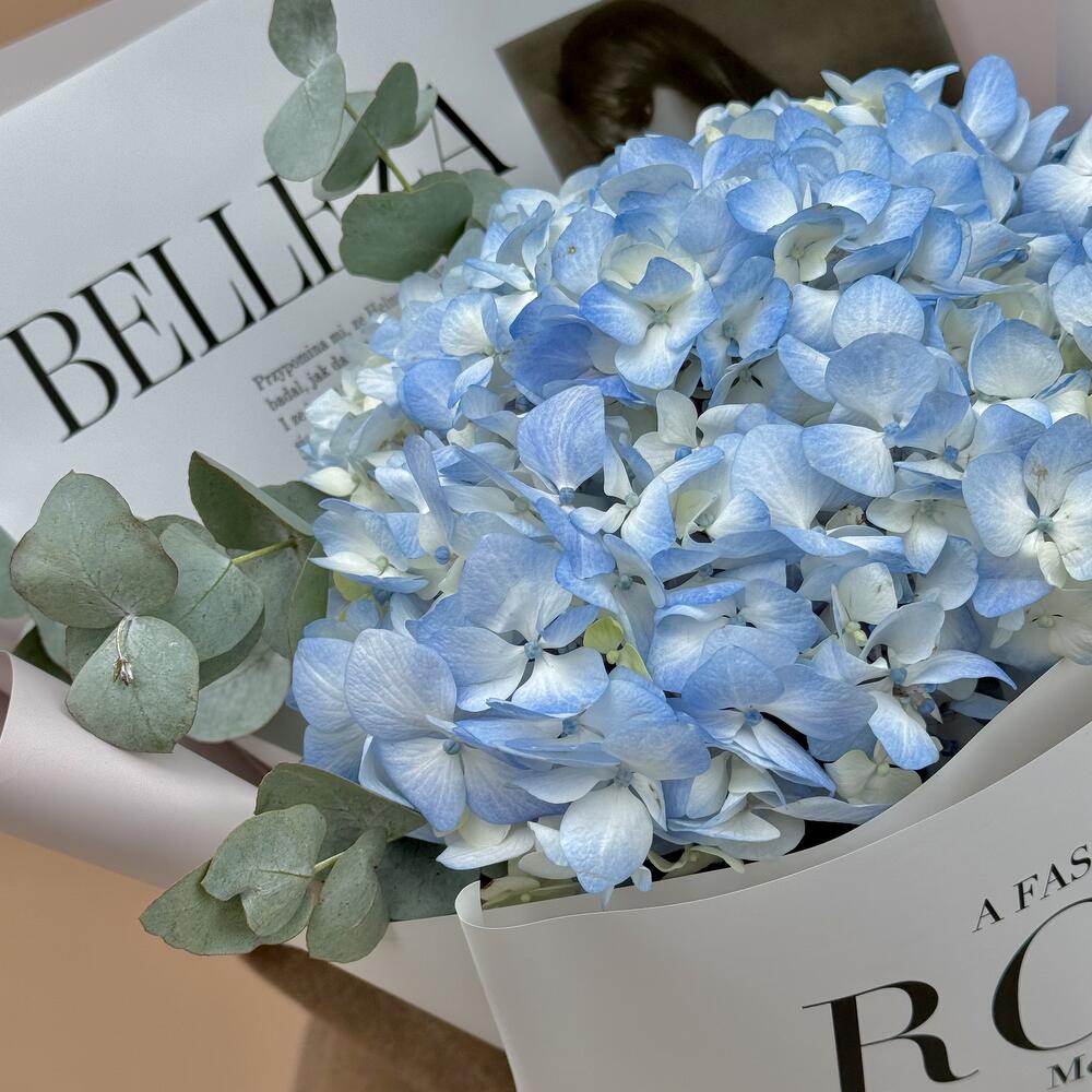 New York — вид 2