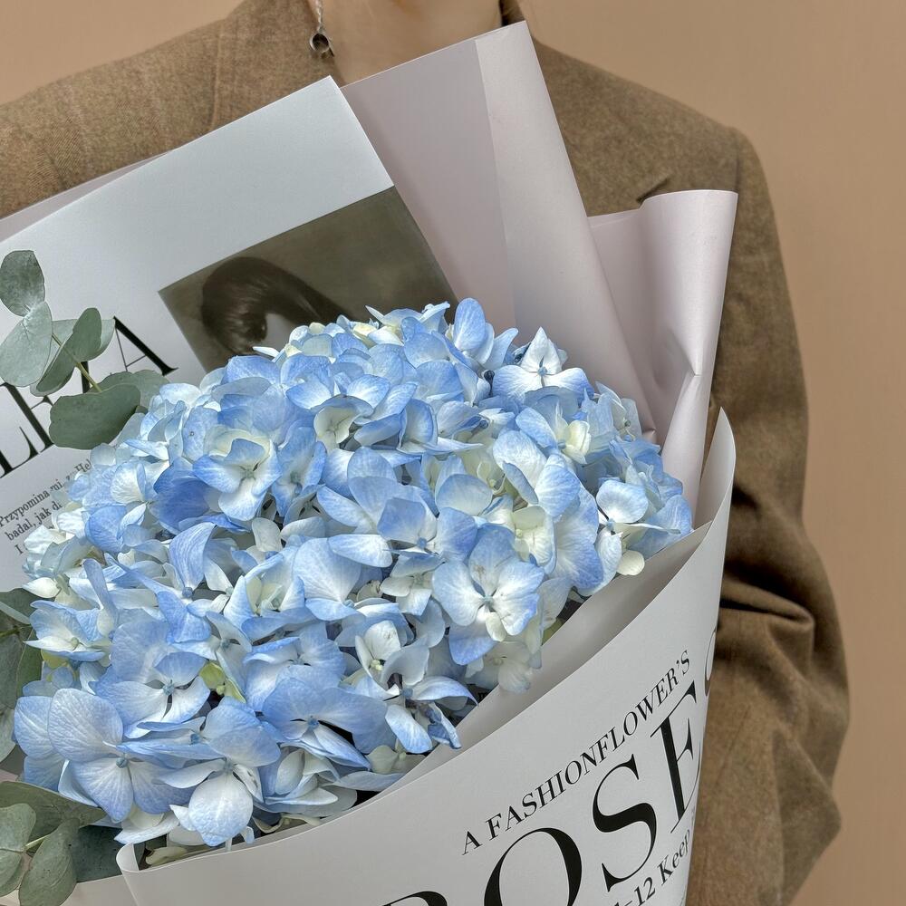 New York — вид 3