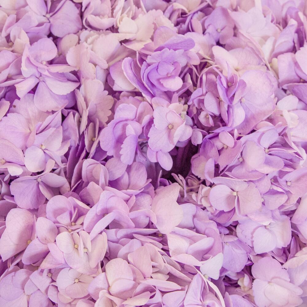 Розовый зефир — вид 5