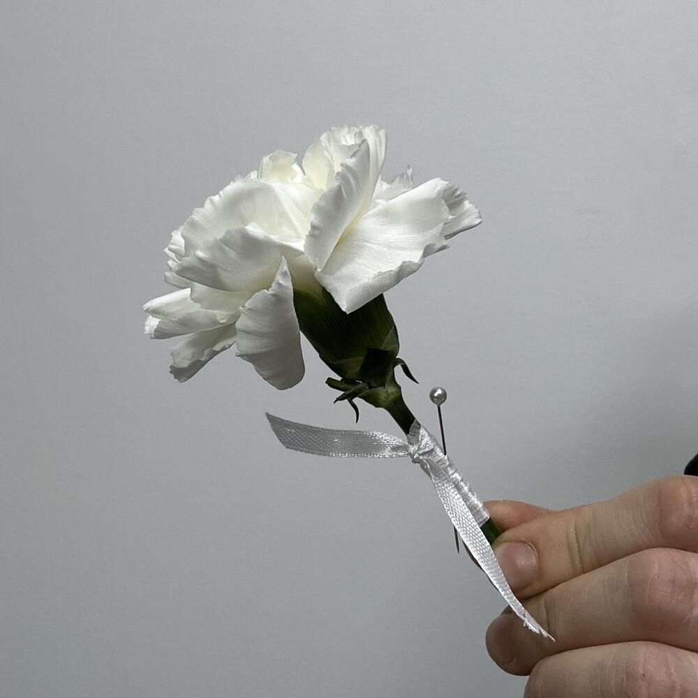 Новая семья — вид 4