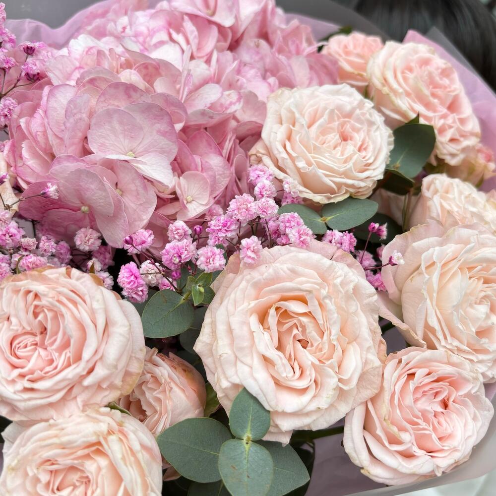 Фламинго — вид 3